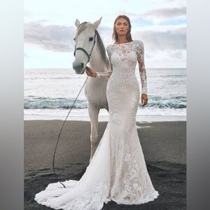 Pronovias Panjin wedding dress.